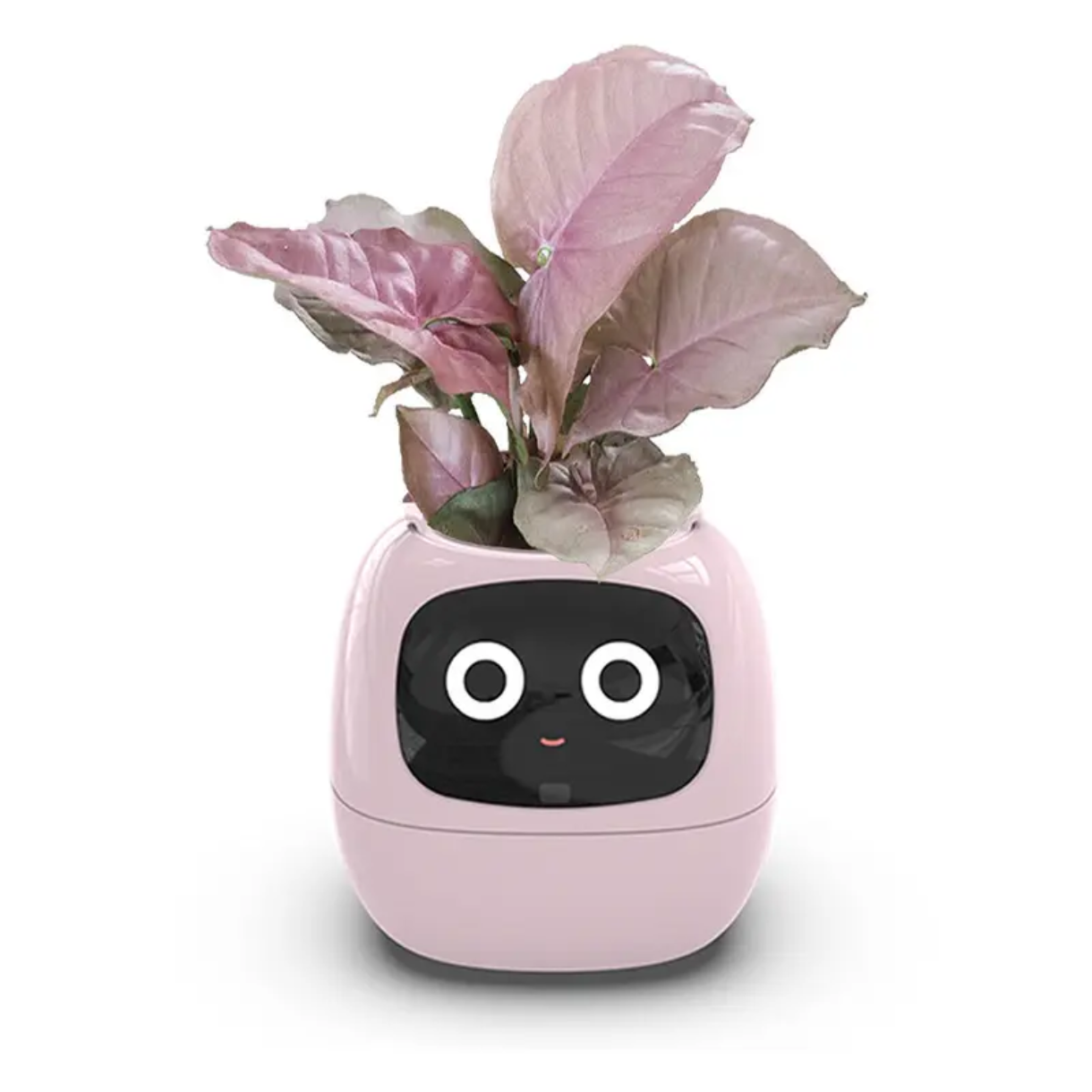 Smart Interactive Plant Pot with Emoji Display – Real-Time Plant Care Monitor for Desk, Office & Home