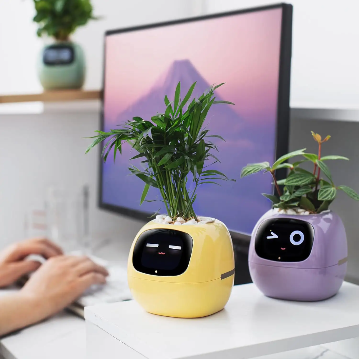 Smart Interactive Plant Pot with Emoji Display – Real-Time Plant Care Monitor for Desk, Office & Home