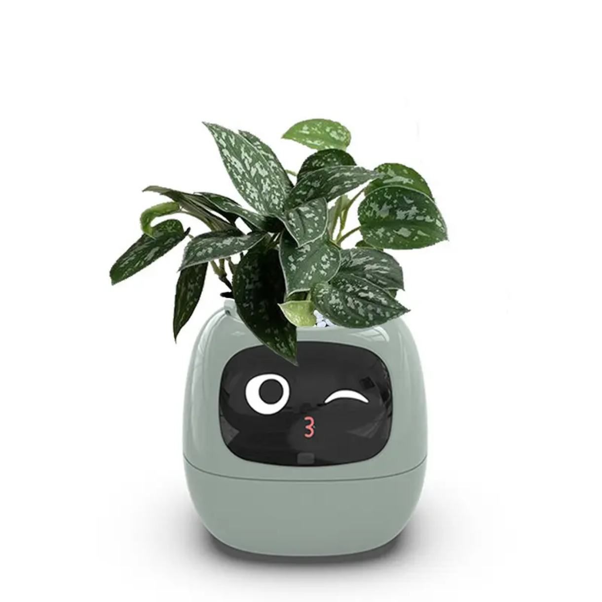 Smart Interactive Plant Pot with Emoji Display – Real-Time Plant Care Monitor for Desk, Office & Home